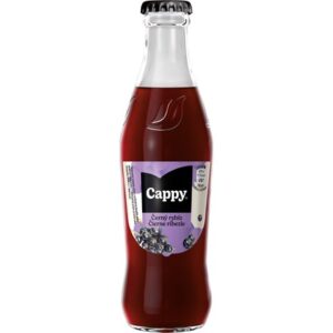 CAPPY 250ml VRSK ČIE.RÍBEZĽA25% 2