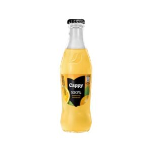 Cappy Džús pomaranč 100 % 24 x 250 ml vratná fľaša SKLO